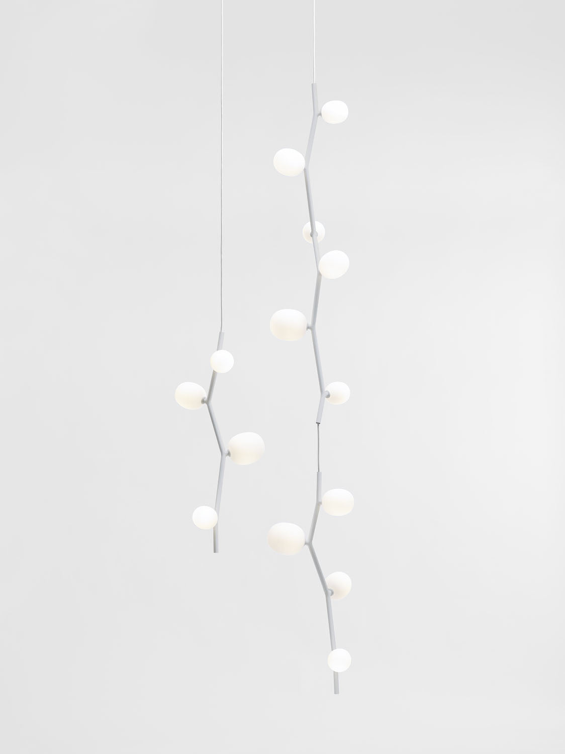 IVY VERTICAL 8 - Pendant Light