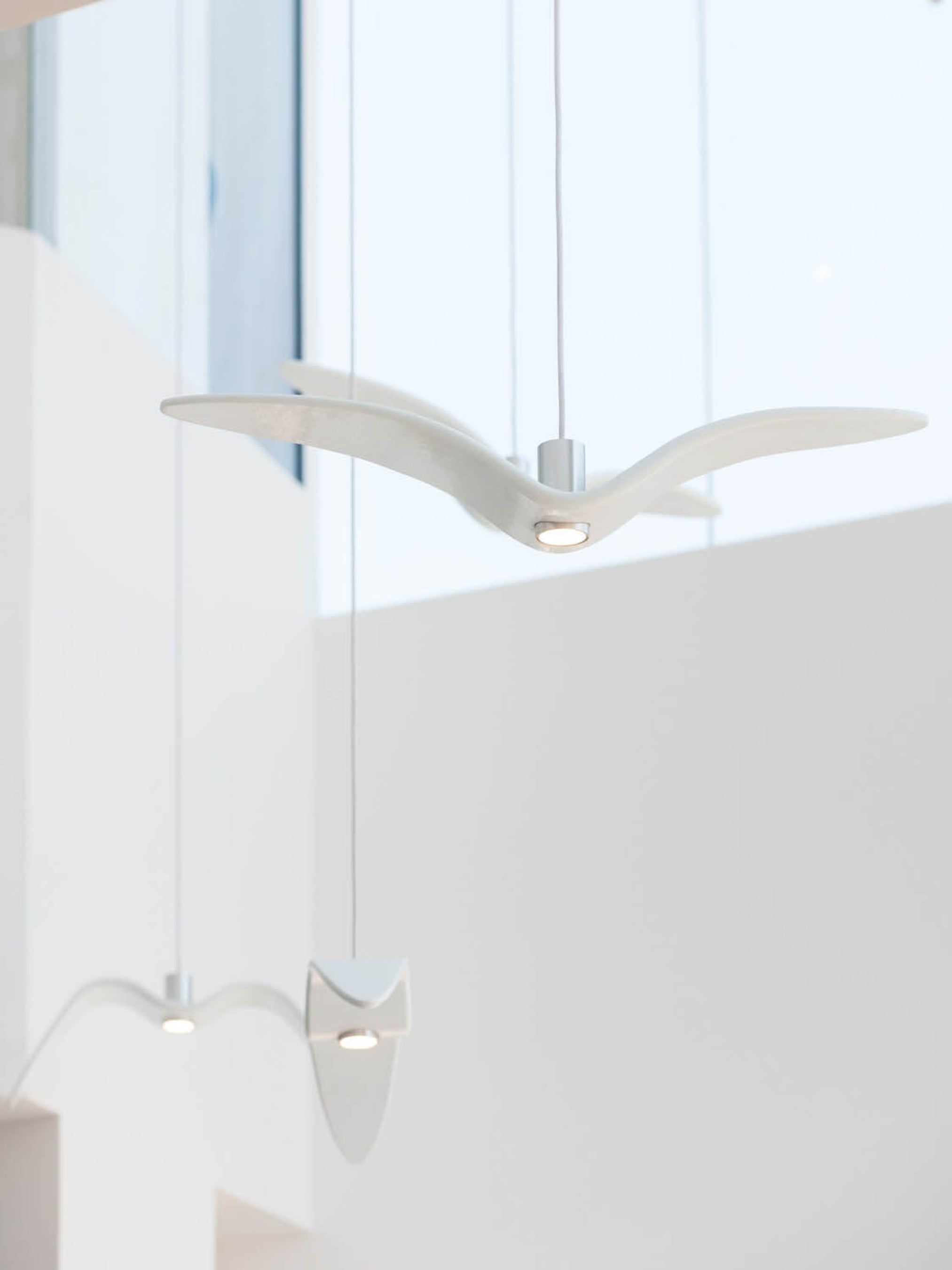 NIGHT BIRDS PC963 - Pendant Light