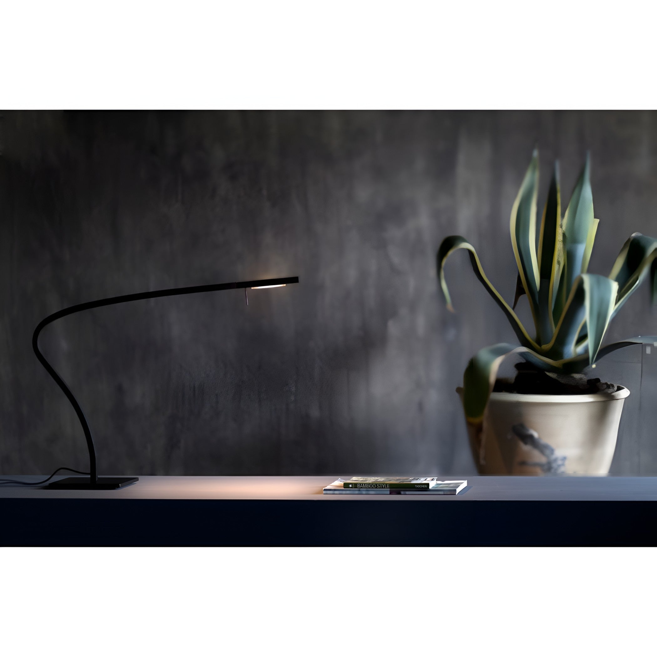 PARAPH T1 - Table Lamp